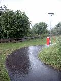 Dezelfde regen. Dezelfde boom. Andere view.